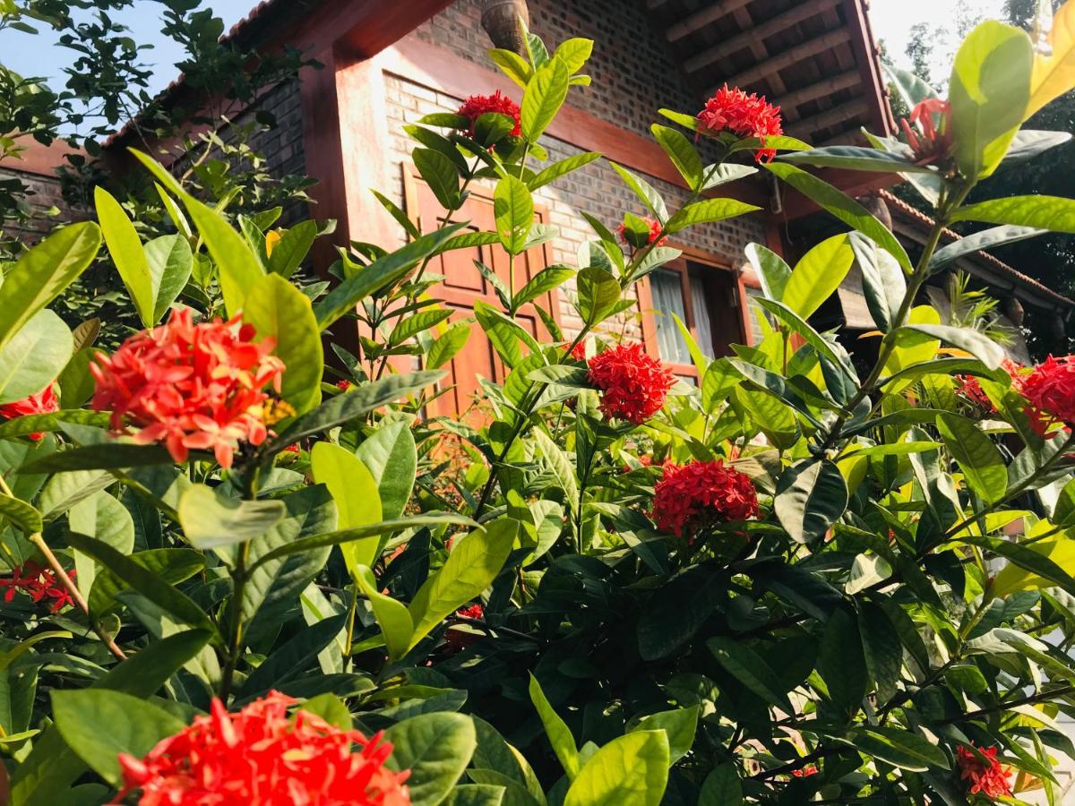 Tam Coc Friendly Homestay Νιν Μπιν Εξωτερικό φωτογραφία