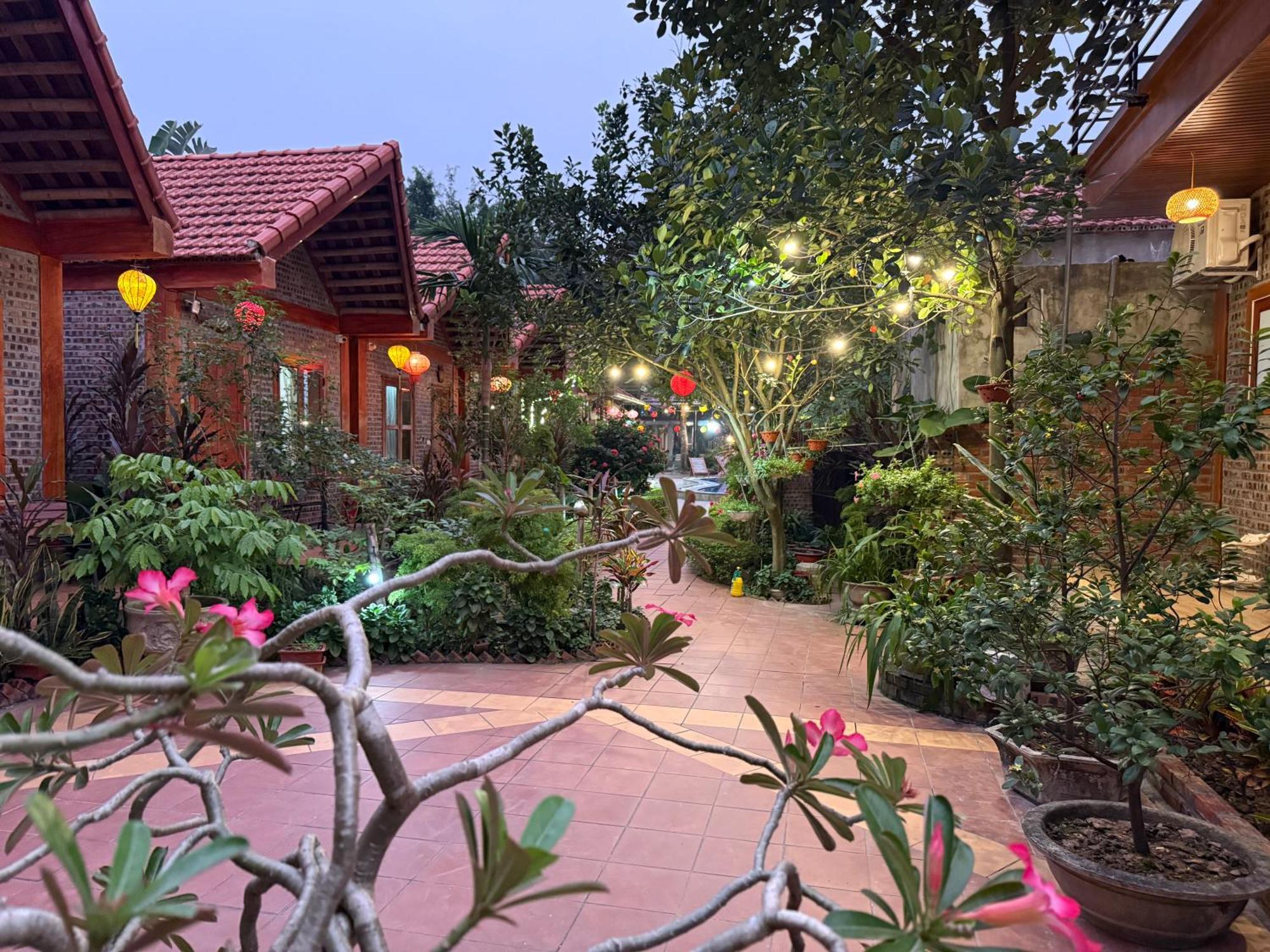 Tam Coc Friendly Homestay Νιν Μπιν Εξωτερικό φωτογραφία