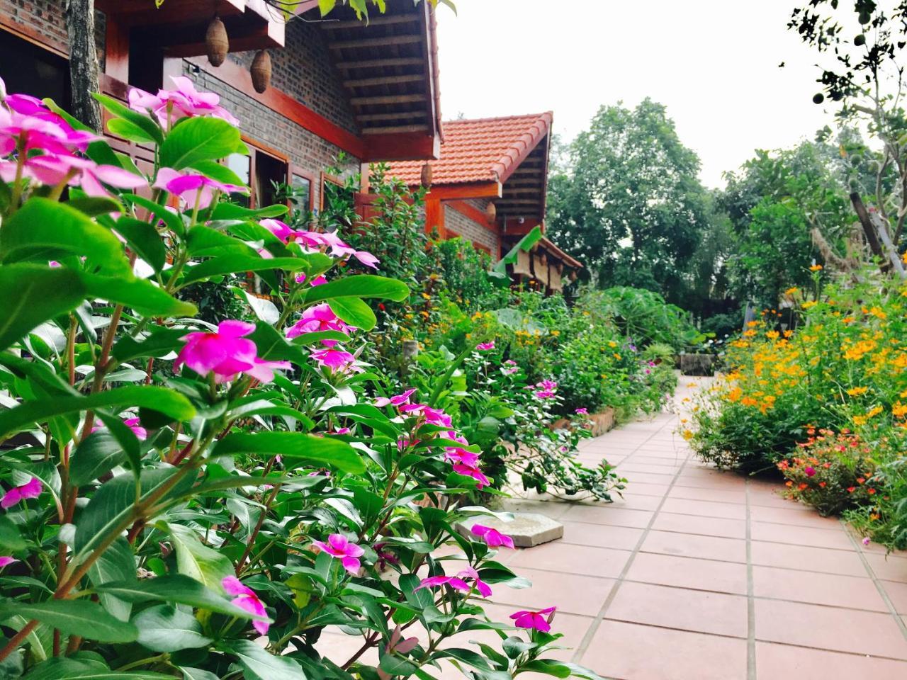 Tam Coc Friendly Homestay Νιν Μπιν Εξωτερικό φωτογραφία