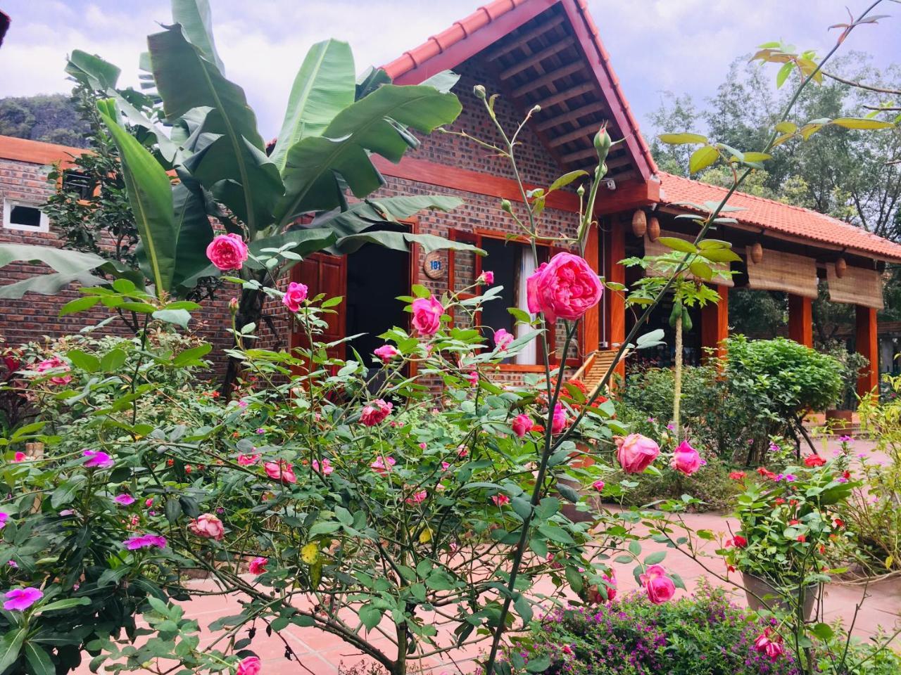 Tam Coc Friendly Homestay Νιν Μπιν Εξωτερικό φωτογραφία
